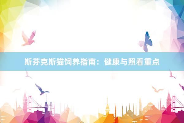 斯芬克斯猫饲养指南：健康与照看重点