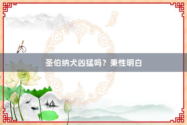 圣伯纳犬凶猛吗?秉性明白