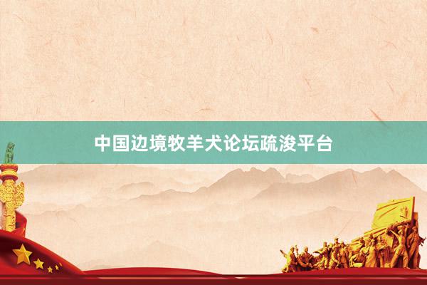 中国边境牧羊犬论坛疏浚平台