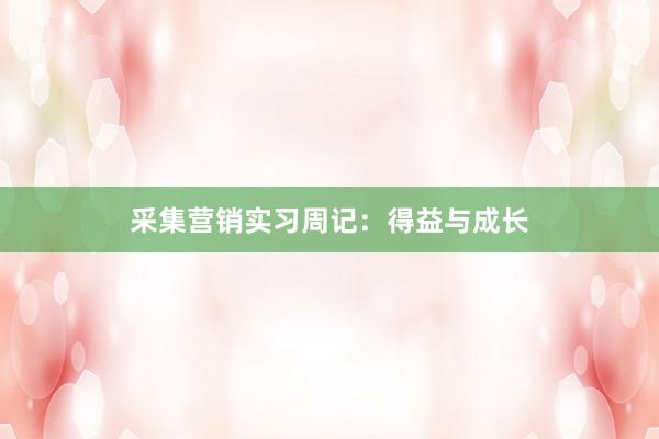 采集营销实习周记：得益与成长